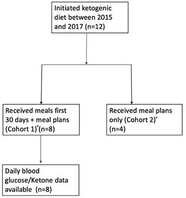 Exploring the Feasibility and Effects of a Ketogenic Diet in Patients With CNS Malignancies: A Retrospective Case Series